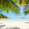 Under The Palmtree - Thumbnail View 1