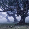 Ghost Line - Thumbnail View 1