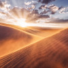 Gently Touched - Thumbnail View 1