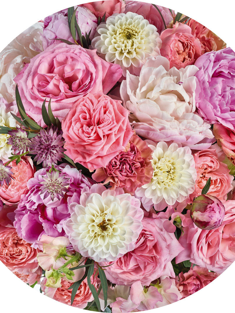 Beautiful Blossoms - Thumbnail View 1