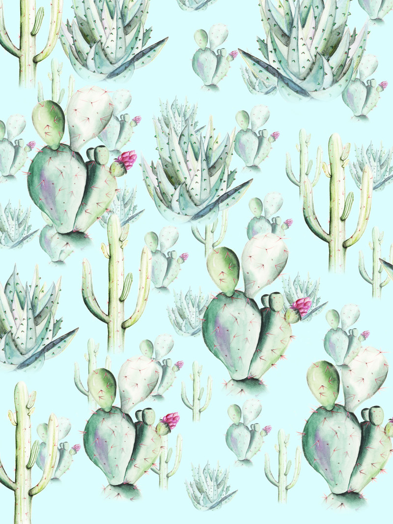 Cactus Blue - Thumbnail View 1