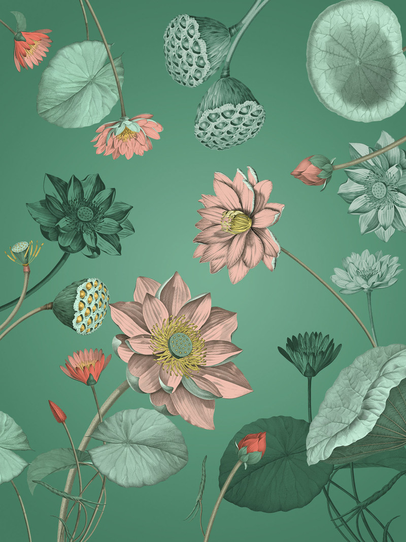 Blissful - Thumbnail View 1