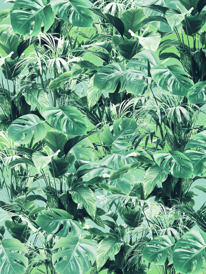 Evergreen - Thumbnail View 1