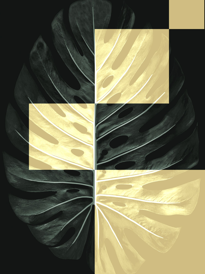 Monstera Theatre - Thumbnail View 1