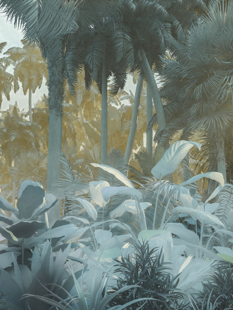 Misty Jungle - Thumbnail View 1