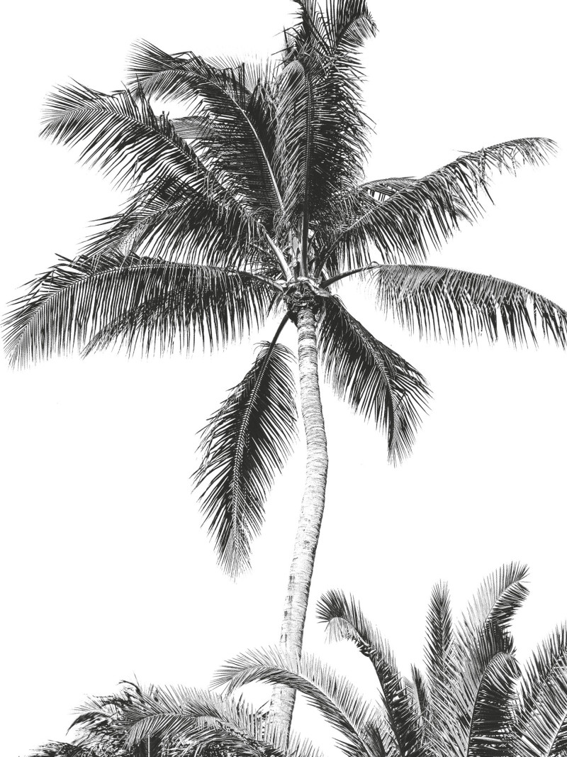 Retro Palm - Thumbnail View 1