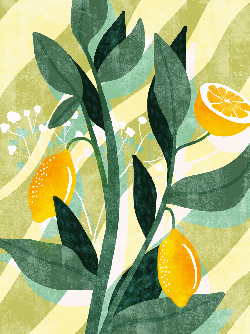 Lemon Fresh - Thumbnail View 1