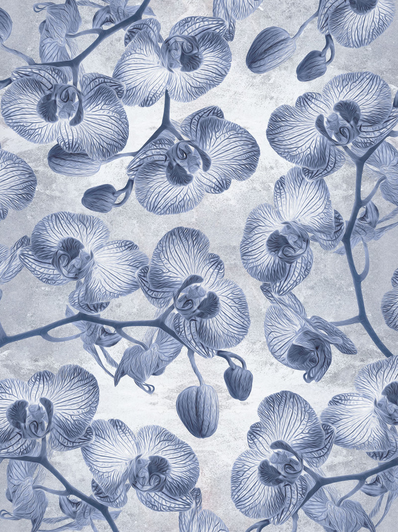 Orchidées - Thumbnail View 1