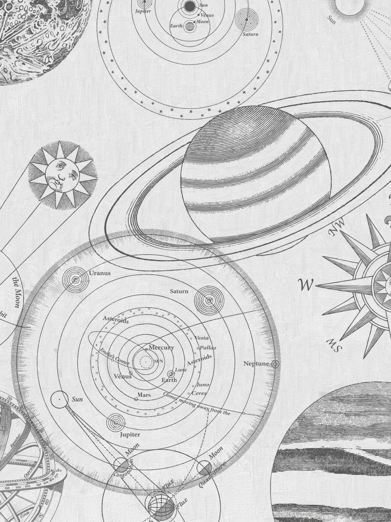 Cosmos Sketch - Thumbnail View 1