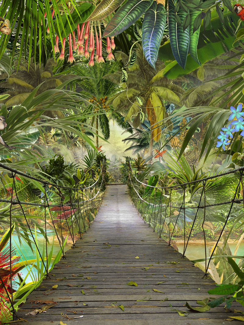 Wild Bridge - Thumbnail View 1