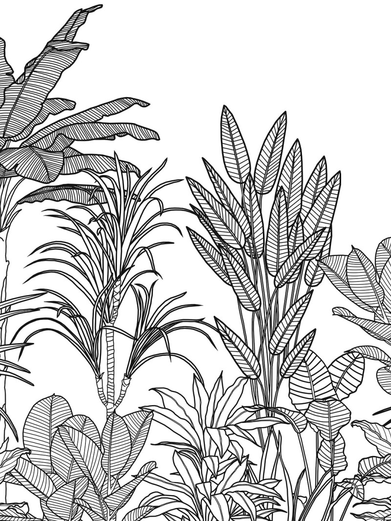 Savanna - Thumbnail View 1
