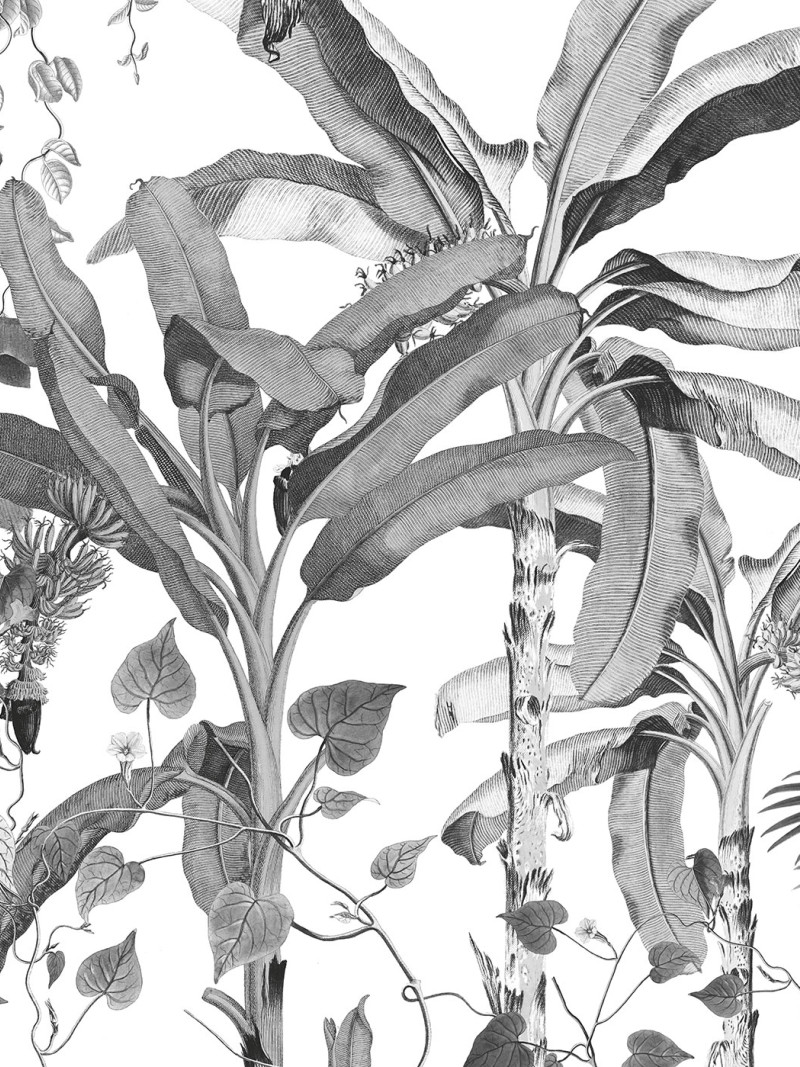 Croissances Monochrome - Thumbnail View 1