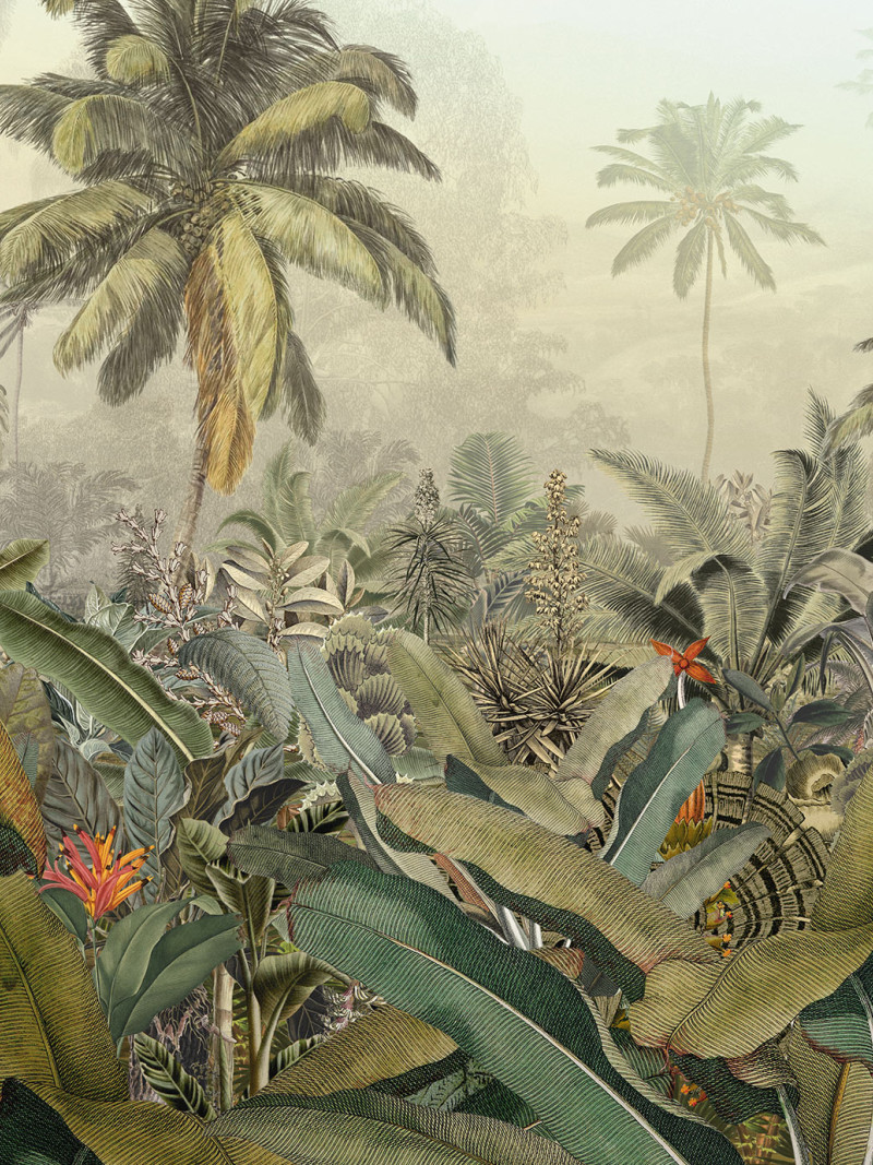 Amazonia - Thumbnail View 1