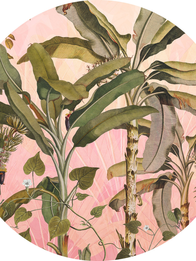 Botany - Thumbnail View 1