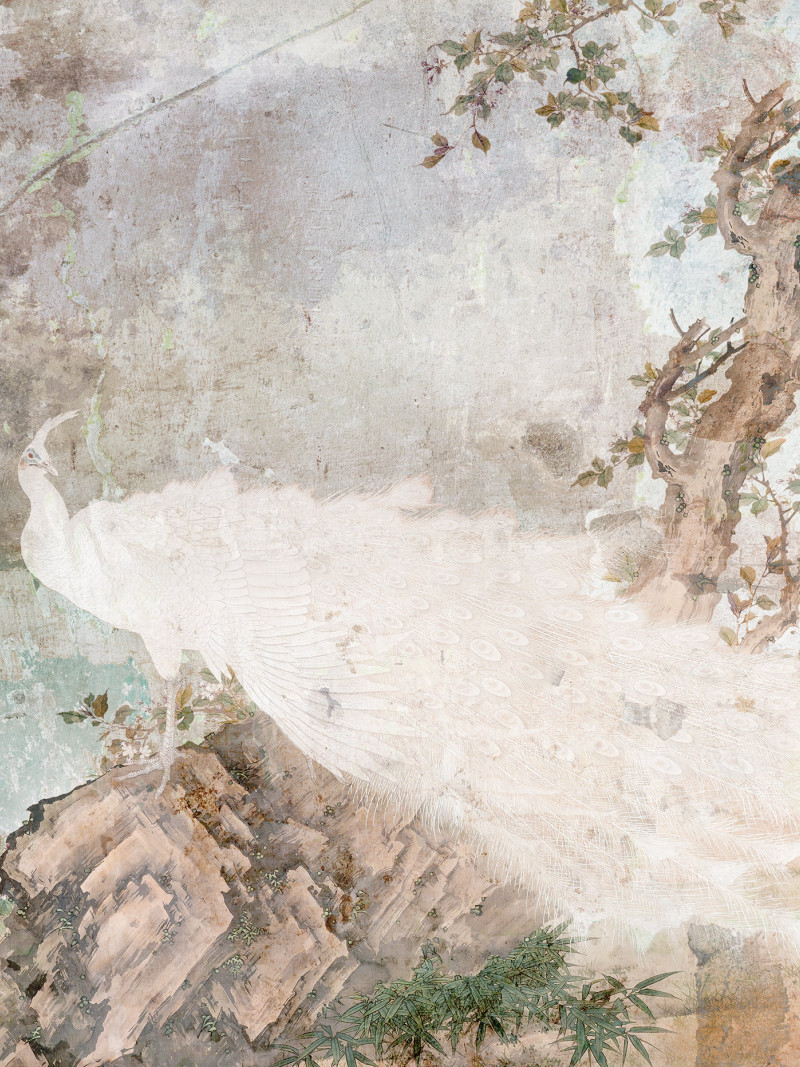 Pasado - Thumbnail View 1