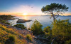 Southern Light - View 1