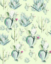Cactus Green - View 1