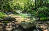 Tranquil Pool - View 1