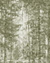 Fading Forest - View 1