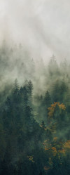Tales of the Carpathians - View 1