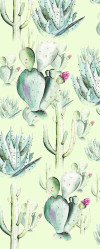 Cactus Green - View 1