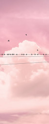 Cloud Wire - View 1