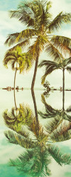 Key West - View 1