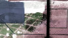 Cobbles Together pastell - View 1