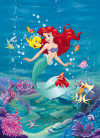 Ariel Singing - View 1