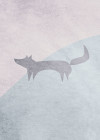 Wild and Free Fox