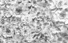 Shades Black and White - View 1
