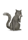 Cute Animal Cat