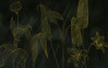 Darkest Green - View 1
