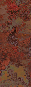 Patina - View 1