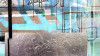 Alleys Rainy ice-rose - View 1