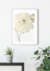 Illustration Dahlia