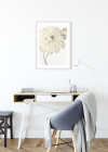 Illustration Dahlia
