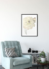 Illustration Dahlia
