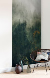 Tales of the Carpathians - View 1