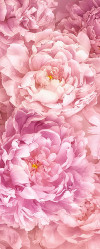 Blossom Splendor  - View 1