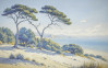 Sandy Coast - View 1