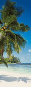 Coconut Bay - View 1