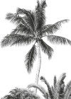 Retro Palm - View 1