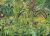 Colorante - View 1