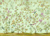 Oiseaux du Paradis - View 1