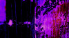 Bubbles Ascending darkblu-pinke - View 1