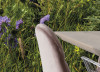 The Green Queen - View 1