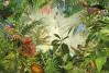 Wild Amazonia - View 1