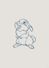 Hey Thumper