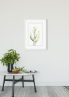 Saguaro Watercolor